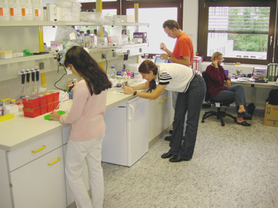 People at work in the new laboratory.